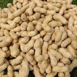 Whole Groundnuts