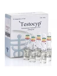 Testocyp Testosterone Cypionate 250mg/ml