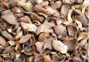 Palm Kernel Shell