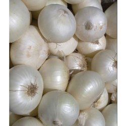 Organic White Onion