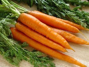 Natural Carrot