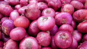 Natural Onion