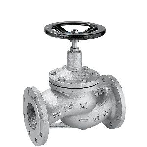 globe valve