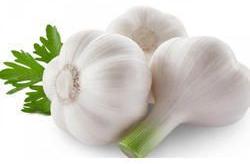 Natural Garlic, Packaging Type : Bag