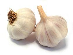 Organic Garlic, Packaging Type : PP Bag