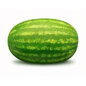 Green Watermelon