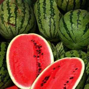 Sweet Watermelon