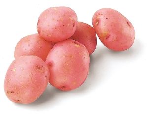 Fresh Red Potato