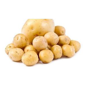 Fresh Laukar Potato