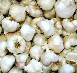 Fresh Natural Garlic