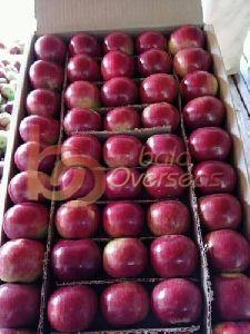 Indian Red Apples