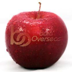 Organic Simla Apple
