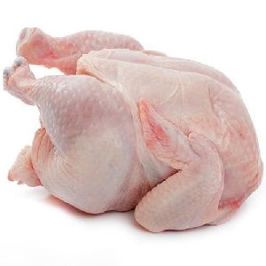 Broiler Chicken Meat