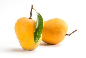 Alponsa Mangoes