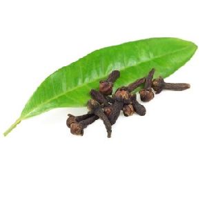 clove oil