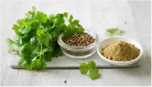 coriander powder