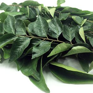 Curry Fresh Leaves