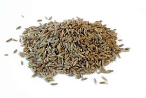 cumin seeds