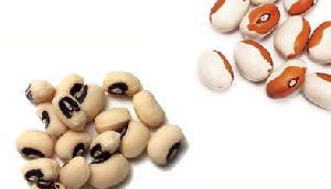 Black and Brown Eye Beans