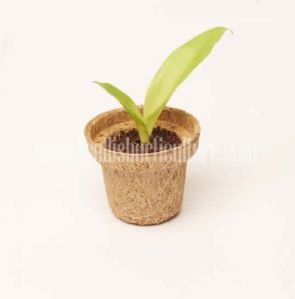 Coir Germination Cup