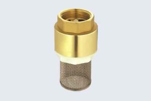 BRASS SPRING CHECK VALVE WITH FILTER