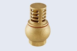 FORGED BRASS FOOT VALVE