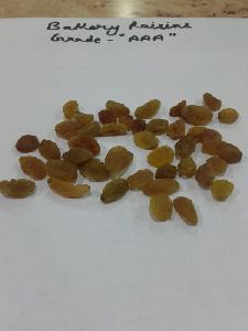 NASIK AAA Grade Golden Raisin