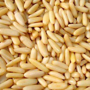 pine nuts kernel