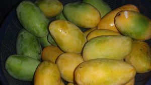 Desi Mango