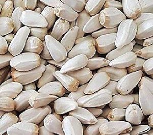 Kusum Seeds