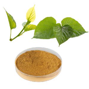 HONGDA Mulberry leaf Extract 1-5% DNJ