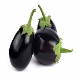 brinjal