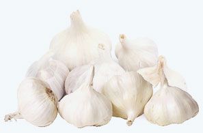 Extra Ladva Garlic