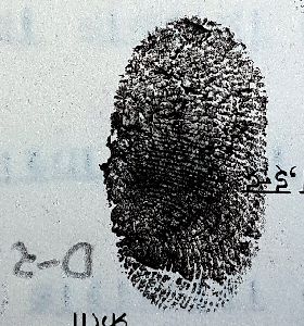 Fingerprint Verification Systems