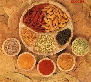 All Indian Spices masala