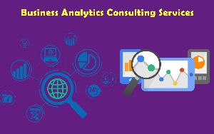 Business analytics consulting services