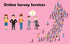 Survey Reports Services
