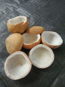 Copra, Certification : phyto sanitary, Packaging Size : 24000