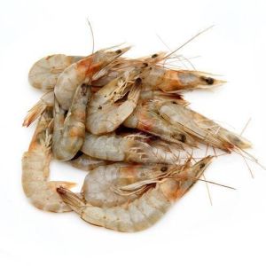 Fresh Shrimp