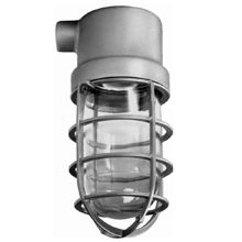 Enclosed and Gasketed Incandescent Luminaire