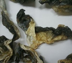 Dried Fish Skin