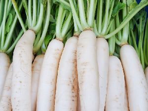 Root Vegetables
