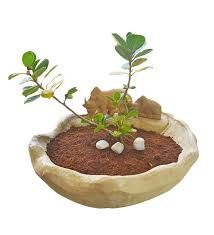 Maadu Planter Pot