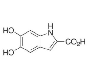 5,6-Dihydroxyindole-2-Carboxylic Acid