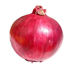 Natural Fresh Onion
