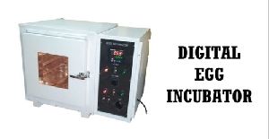 digital egg incubator