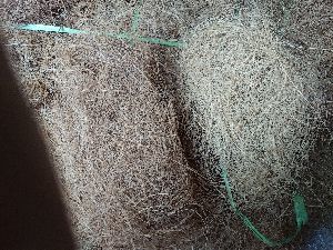 Coconut fibre