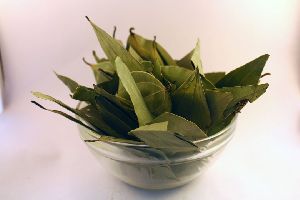 bay leaf