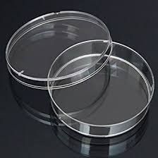 Laboratory Petri Dishes