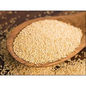 White Poppy Seeds (Khas Khas)